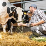 kmetijstvo, razpis, razpis-agro, agro-zemljisca-in-kmetije