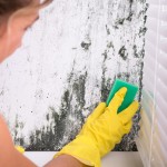 vlaga, plesen, prezracevanje