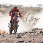 mulec dakar