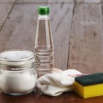 kis, naravna-cistila