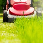 kosnja-trave, kosilnica