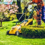 kosnja-trave, kosilnica