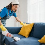 brisanje-prahu, ciscenje-stanovanja