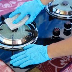 rja-na-posodi, kecap