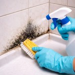 plesen-v-kopalnici, kopalnica