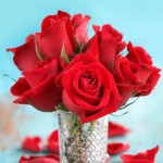 vrtnice, rezano-cvetje