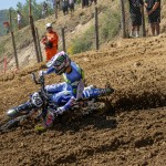 907-16-gajser2