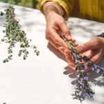shutterstock_2152277959