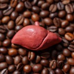 jetra kava