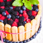 shutterstock_1396576289