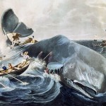 moby dick
