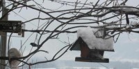 094717_175684_IMG_3582_1a