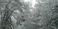 094303_175684_19122010017