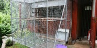 105709_188385_IMG_4476