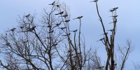 110532_189128_IMG_5250