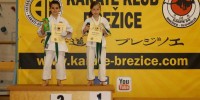 Brez opisa