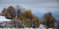 Foto: Franc Šavrič