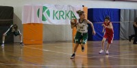 Brez opisa