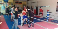 Foto: Scorpion Gym