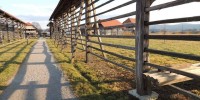 Foto: Dežela kozolcev