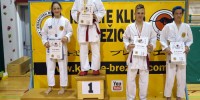 Brez opisa