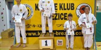 Brez opisa