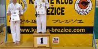 Brez opisa