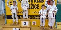 Brez opisa