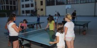 Foto: Božo Vidmar