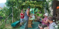 Foto: Božo Vidmar