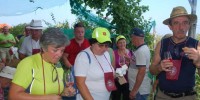 Foto: Božo Vidmar