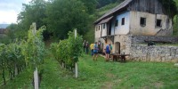 foto: Božo Vidmar