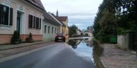 Dolenjski list)