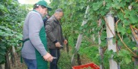 FOTO: Božo Vidmar