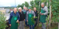 FOTO: Božo Vidmar