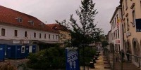Brez opisa