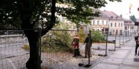 Včerajšnja odstranitev dreves je razburila javnost