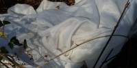 20171223_125503