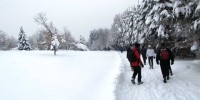 IMG_8818