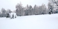 IMG_8819