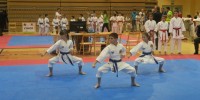5 odličij za Karate klub Brežice