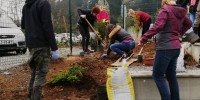 Tri akcije za Skupnostni center Brezje Žabjak