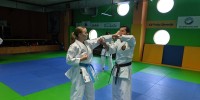 brežiški-karateisti-pri-japonskem-mojstru