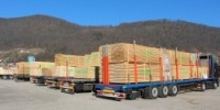 devet tovornjakov lesa