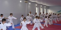 karate, akademija