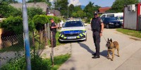 pu-novo-mesto, policija
