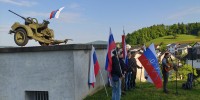 novo-mesto-v-zici