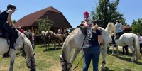 po-poti-slakove-in-pavckove-mladosti