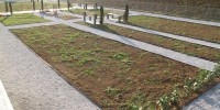 pokopalisce-v-trebnjem, prenova