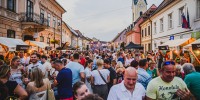Mestna promenada 2024